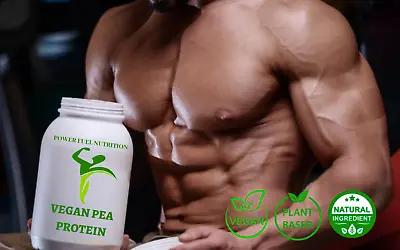 Vegan Pea Protein Chocolate - Delicious & Effective! - For Peak Performance • $43.96