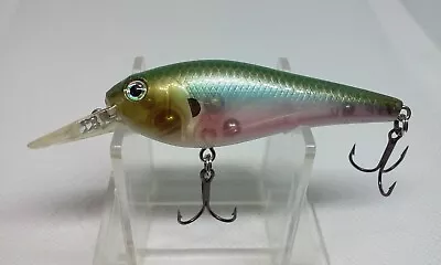 H2O XPRESS CRANKING SHAD Ghost Shad 2 3/4  Crankbait Academy Fishing 3/8oz Lure • $13.99