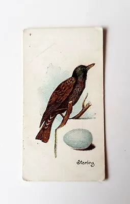 Lambert And Butler Cigarette Cards. Birds & There Eggs. 1906 • £1