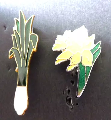 TWO VINTAGE PIN BADGES - DAFFODIL And LEEK • £2.99