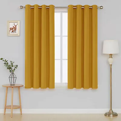 Pair Of New Ready Made Thick Blackout Curtains Thermal Eyelet Ring Top Tie Backs • £21.99
