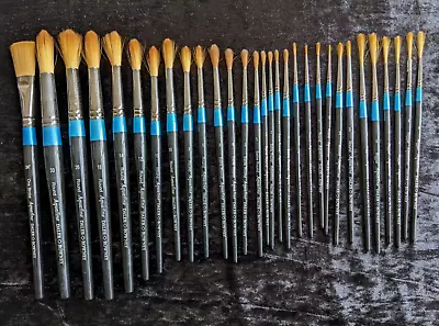 Daler Rowney Aquafine Artists Brushes 30 Watercolour Brush Bundle Inc Sable • £27