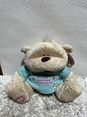 £12 • Buy Fizzy Moon Funny “Special Friend” Cream Bear Soft Plush Toy 8” With Tags