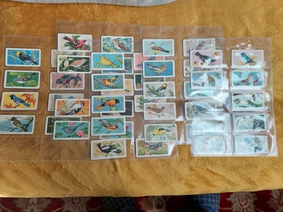 £2 • Buy Brooke Bond Canadian Songbirds Of North America