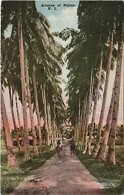 PC PHILIPPINES AVENUE OF PALMS Vintage Postcard (b39158) • $14.99