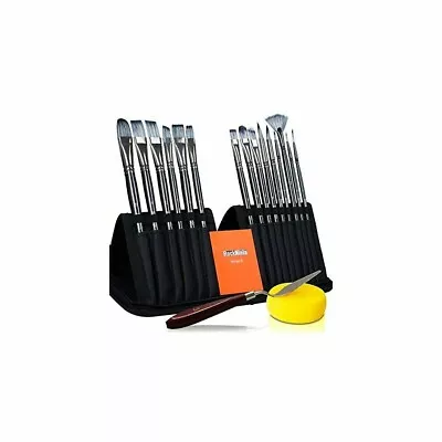 Rock Ninja 17 Piece Paint Brush Set Pallet Knife Sponge & Carry Case Beginner • £5.48