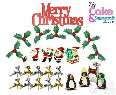 Christmas Cake Decorations  (Picks/Santa Topper/Motto/Xmas/Robin/Tree) • £4.19