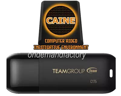 Caine 13.0 Warp Forensics Linux FAST 32 Gb Usb 3.2 Drive Bootable Live 64 Bit • $16.88