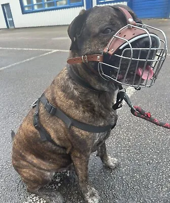 New Metal STRONG Wire Basket Dog Muzzle For XL Bully  Rottweiler Mastiff Etc. • £27.99