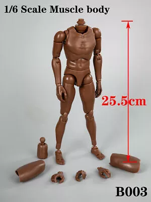 1/6 Male Action Figure Body Model B003 Black Skin For 12'' Phicen TBLeague • $20.92