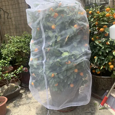 Fruit Fly Net Insect Mesh Vegetable Garden Plant Crop Protection Cover Bags • $5.64