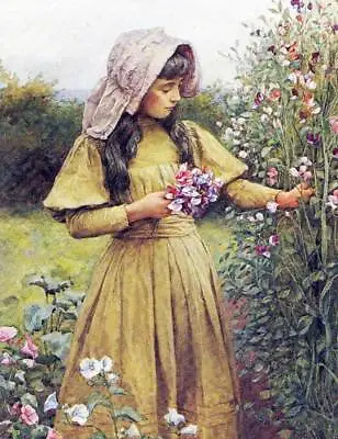 Young Lady Picking Sweet Peas Flowers By Charles Edward Wilson • $16.95