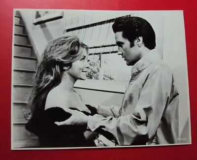  Live A Little Love A Little- 8 X 10 B/w Photo - Orig - Mgm -  Elvis Presley -ex • $9.95
