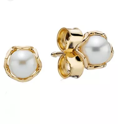 Brand New!! 100% Authentic Pandora 14K Cultured Pearl Stud Earrings #250319P • £241.05