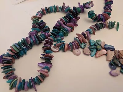 Shell Chip Beads Dyed Mixed Color About 6-15mmx1-5mm Hole 1mm - Qty 100 • $3.75