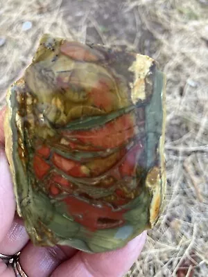 Morrisonite Jasper Slab (Oregon) • $25