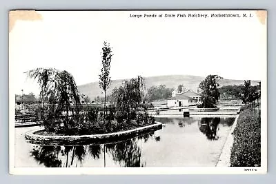 Hackettstown NJ-New Jersey Large Ponds At State Fish Hatchery Vintage Postcard • $7.99