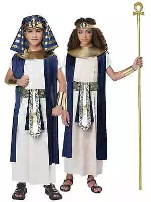 Ancient Egyptian Tunic Pharaoh Cleopatra Book Week Child Girls Boys Costume S/M • $61.95