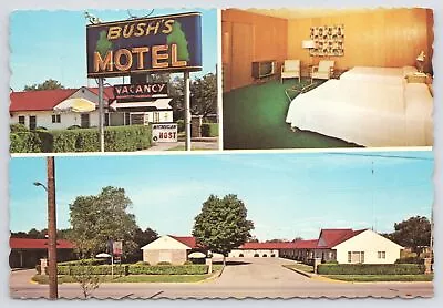 Clare Michigan~Bushs Motel Sign Parking Lot & Room~Continental Postcard • $1.35