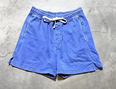 Men’s UO Urban Outfitters Lucien Vintage Wash Blue Volley Shorts Sz M • $20