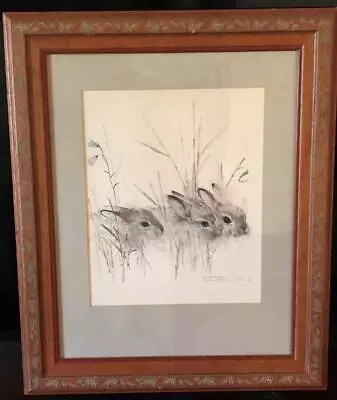 Vintage Denmark European Hare Baby Bunnies Framed Matted Print Signed Mads Stage • $49.99