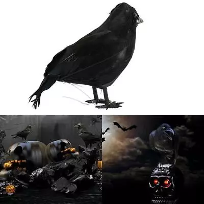 Black Lifesize Raven Movie Prop Fake Crow Halloween Hunting Bird 10CM De Prof • £4.93