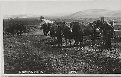 Horse Postcard - COURT-Real Photo- CHAPMAN And SON - Dartmoor Ponies  • £0.99