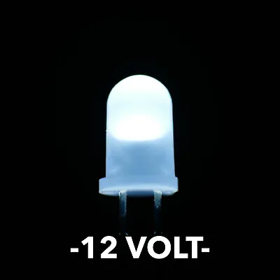 5mm 12 Volt White Diffused LED's Pack Of 25 # L1205WD • $7.49