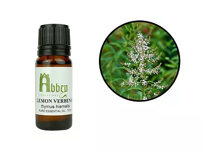 £119.89 • Buy Essential Oil Lemon Verbena 100% Pure Fragrance Aromatherapy 10ml - 1 Litre UK