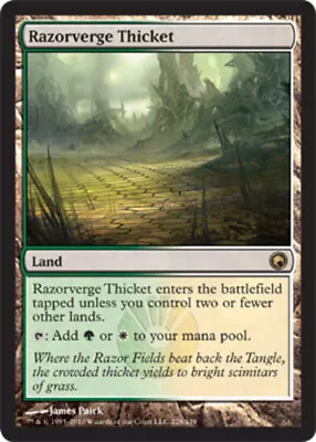 1 X Razorverge Thicket - Scars Of Mirrodin - Heavy Play - MTG • $2.84