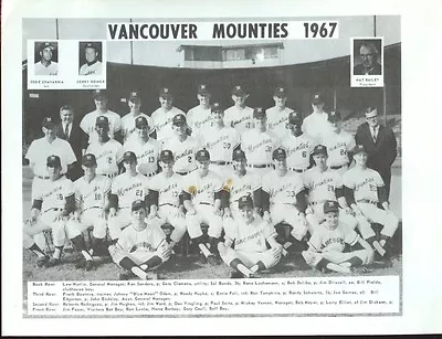 1967 Vancouver Mounties Team 8 1/2″ X 11″ Photo • $55