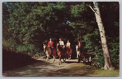 Animal~Group On Horses Country Trails~Vintage Postcard • $1.35