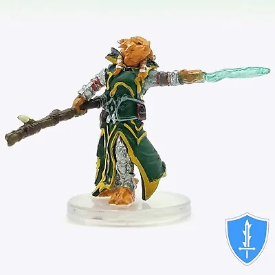 Dragonborn Draconic Sorcerer (spell) - Waterdeep Dragon Heist #12B D&D Miniature • $2.99