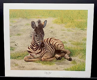 Charles Frace Signed Limited Edition Signed Print  Zebra Foal” • $49.95