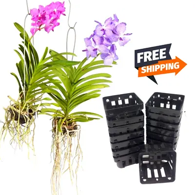 Vanda Orchid Pots Plastic Hanging Mesh Net Baskets Hydro Air Plant Décor 10 Pcs • $14.99