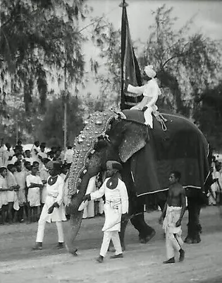 Vintage Photo Cochin India Maharajah Parade Decorated Elephant Men People 1944 • $20.95