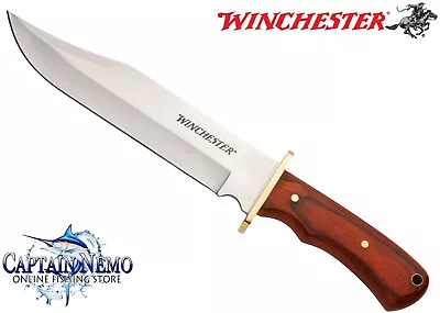 Winchester Bowie Fixed Blade Hunting Knife Wood Handle & Nylon Sheath Wn6220001w • $94.95