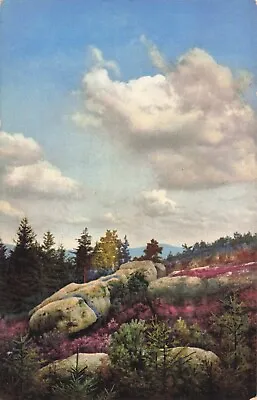 Oybin Germany Scenic Hillside View Large Rocks Vintage Postcard • $6.39