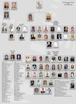 Gambino Family Chart  8x10 Photo Mafia Organized Crime Mob Mobster Picture • $5.99