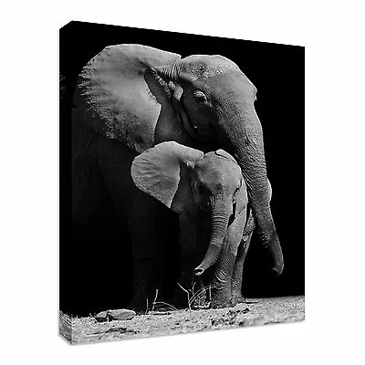 Black & White Elephant Protecting Her Baby Canvas Wall Art Picture Print • £51.98