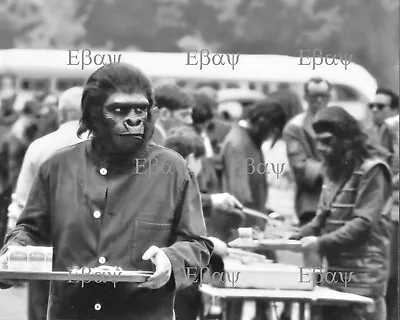 Planet Of The Apes 1968 Lunch Break 8X10 Photo Reprint • $16.50