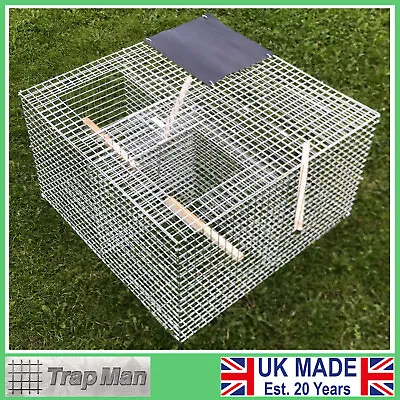 Larsen Trap Humane Cage Trap TrapMan Magpie Trap Twin Catch Large Size UK      • £159.99