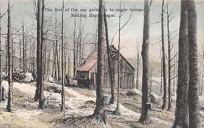 White River Junction Vermont~Making Maple Sugar Series #9~1908 Handcolored PC • $6