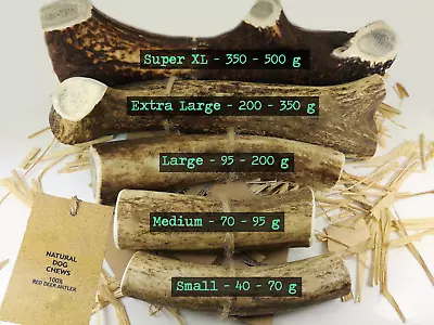 £31.50 • Buy Antler  Chews For Dogs- Suitable For Puppies- 100% Natural - Full Of Calcium
