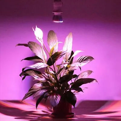 £5.95 • Buy Lamp Full Spectrum Growing Plant Indoor Grow Light Bulb Plant Lamp Phyto Lamp.