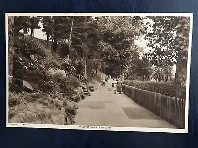 £2.99 • Buy Vintage Postcard Medeiros Walk Exmouth Devon 