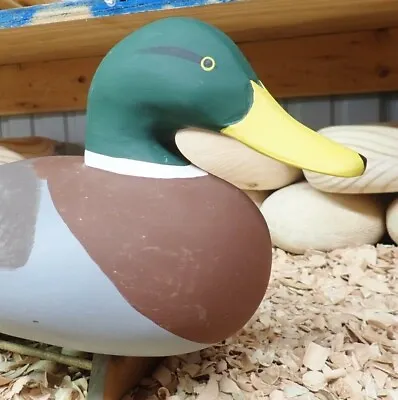  Upper Chesapeake Bay O/S Mallard Drake Decoy • $135