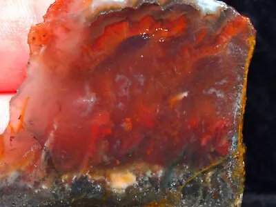 Mexican Flame Agate Rough Slab  • $5.99