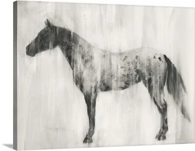 £293.48 • Buy Appaloosa Study II Canvas Wall Art Print, Horse Home Decor