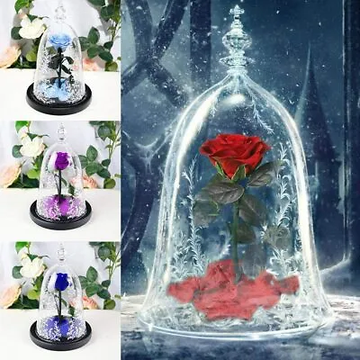 $119.98 • Buy Beauty And The Beast Enchanted Preserved Red Rose With LED Night In Glass Dome